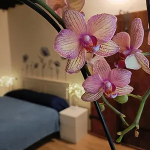  Apartment Il Giardino Segreto Italy